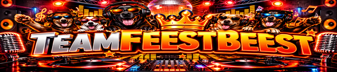 https://teamfeestbeest.nl